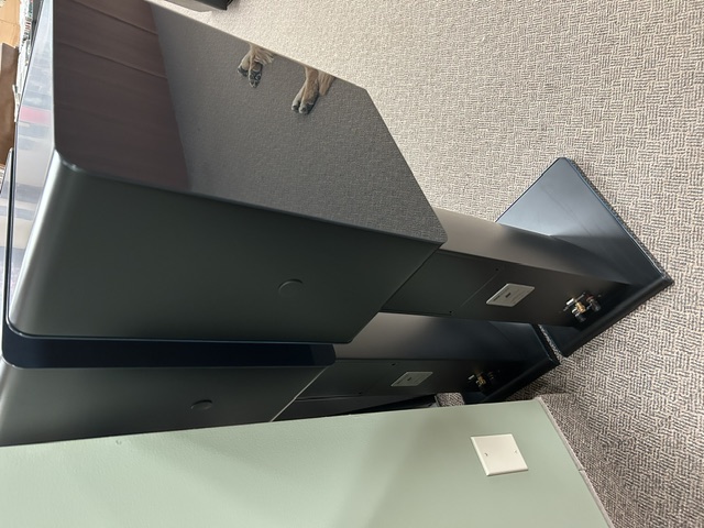 JM Renaud Voce Grand Blue Speakers - Image 4